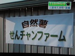 テレビ2.jpg