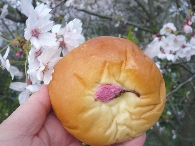 季節限定桜あんぱん.jpg