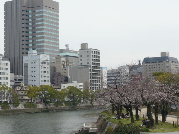 2013平和公園川沿い桜.jpg