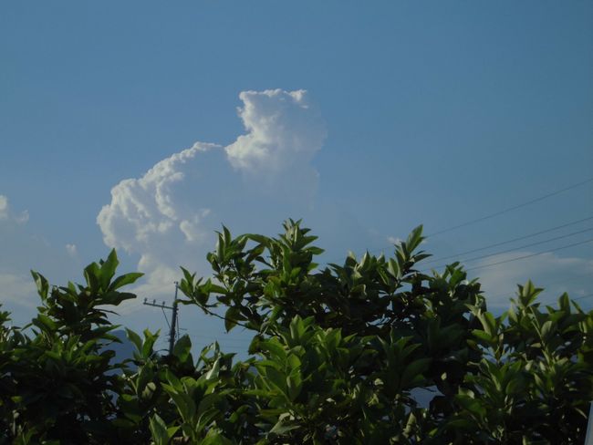 2013年6月入道雲.jpg
